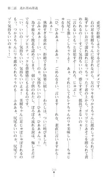 sin光臨天使エンシェル・レナFD THE NOVEL, 日本語