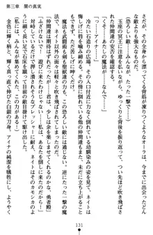 ネイトサーガ 淫邪に導かれし者たち, 日本語