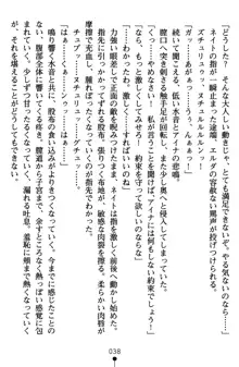 ネイトサーガ 淫邪に導かれし者たち, 日本語