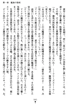 ネイトサーガ 淫邪に導かれし者たち, 日本語