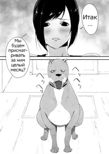 Wagaya ni Inu ga Yattekita | A Dog Came To My House, Русский