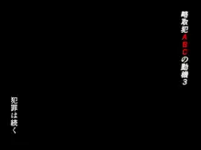 略取犯ABCの動機3, 日本語