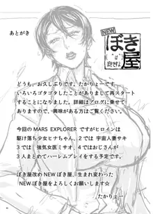 MARS EXPLORER I ヒナ, 日本語