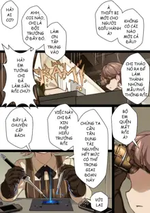 MAIDEN SINGULARITY Chapter 2, Tiếng Việt