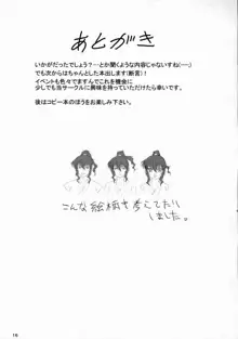 Lisk ～甲賀兄妹淫法帳～, 日本語