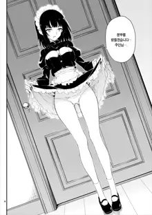 Maid Kyouiku. -Botsuraku Kizoku Rurikawa Tsubaki- | 메이드 교육 -몰락귀족 루리카와 츠바키-, 한국어