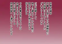 海賊ハーレム王族編, 日本語