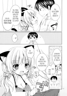 Nyanko o Tasuketara Yome ga Kita Ken ni Tsuite | 고양이를 구했더니 새 신부가 온 건에 대해서, 한국어