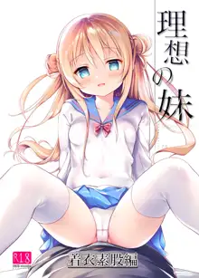 Risou no Imouto Chakui Sumata Hen, 中文