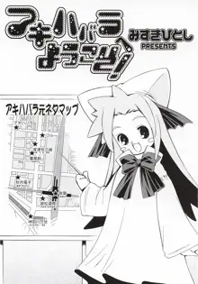 アキハバラへようこそ!, 日本語