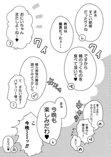 かみか堂東方おまけ本コレクション, 日本語