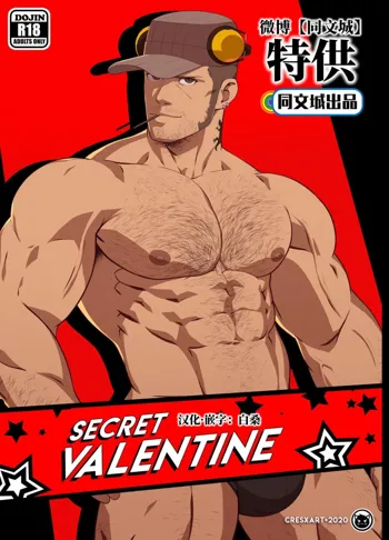 Secret Valentine – Persona 5, 中文