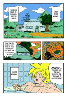 DRAGONBALL H Bessatsu Soushuuhen, Português