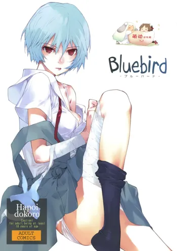 Bluebird, 中文