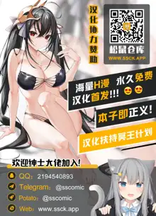 Gaming Harem 2, 中文