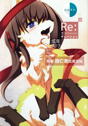 Re:  [Kondere]tion, 中文