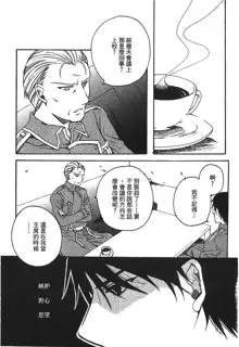 Fullmetal Alchemist 6, 中文