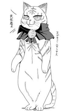 [ Handa 96) Hei dea no yurui Edo guda ♀ matome 5[fate/Grand Order), 日本語