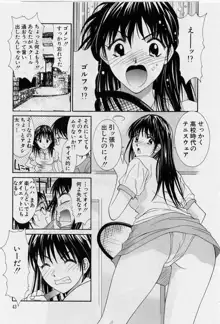 彼女とボクのついた嘘, 日本語