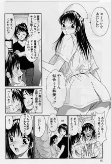 彼女とボクのついた嘘, 日本語