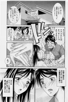 彼女とボクのついた嘘, 日本語