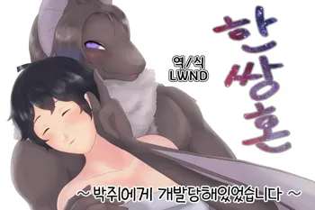 Tsugai Kon ~Koumori ni Kaihatsu saretemashita~, 한국어