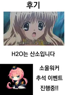 Ari Ori Hameri!, 한국어