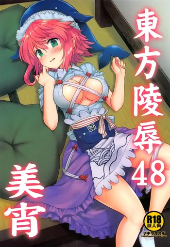 Touhou Ryoujoku 48 Miyoi, 中文