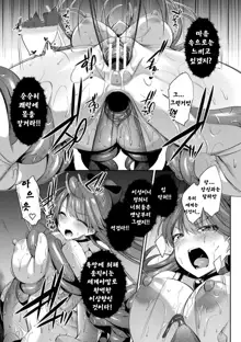 Seikou Senki Jewel Luminous Otome Futari Otsuru Toki Ch. 2 Akumu, 한국어