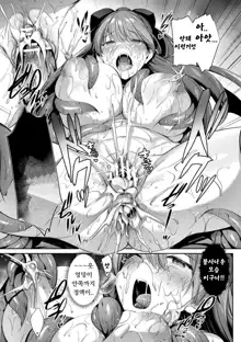 Seikou Senki Jewel Luminous Otome Futari Otsuru Toki Ch. 2 Akumu, 한국어