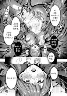 Seikou Senki Jewel Luminous Otome Futari Otsuru Toki Ch. 2 Akumu, 한국어