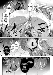 Seikou Senki Jewel Luminous Otome Futari Otsuru Toki Ch. 2 Akumu, 한국어