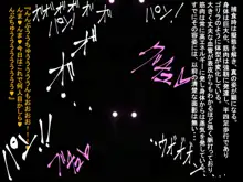 寄生合体～悪堕ちGヒロイン～外伝IFストーリー～, 日本語