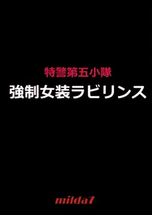 強制女装ラビリンスLAST[Chinese]【不可视汉化】, 中文