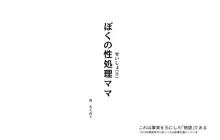 僕の性処理ママ, 日本語