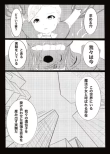 魔法少女受胎計画, 日本語