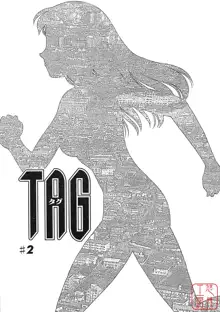 TAG, 中文