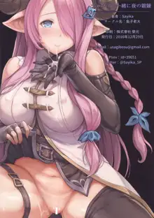 Narmaya to Issho ni Yoru no Tanren | Training Together With Narmaya, Español