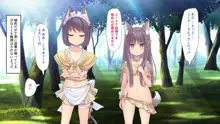 ケモぱら!～異世界で出会ったケモミミ娘たちと子作り生活～, 日本語