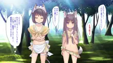 ケモぱら!～異世界で出会ったケモミミ娘たちと子作り生活～, 日本語