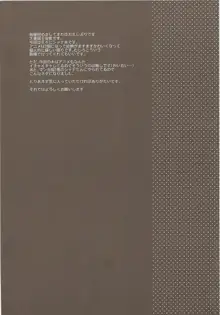 SX2, 日本語