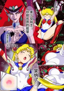 Sailor Moon Chu!, 中文