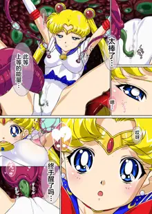 Sailor Moon Chu!, 中文