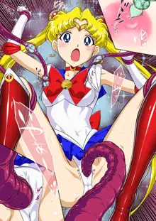 Sailor Moon Chu!, 中文