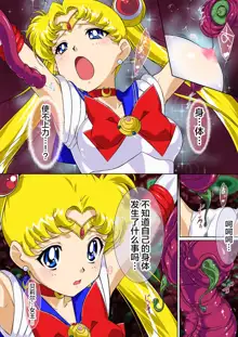 Sailor Moon Chu!, 中文