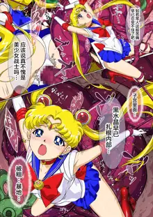 Sailor Moon Chu!, 中文