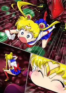 Sailor Moon Chu!, 中文