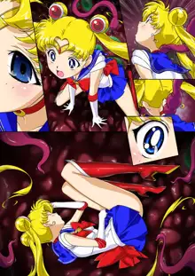 Sailor Moon Chu!, 中文