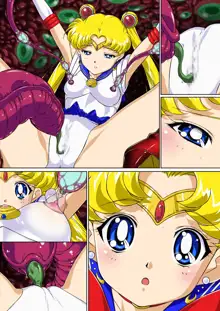 Sailor Moon Chu!, 中文