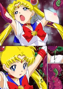 Sailor Moon Chu!, 中文